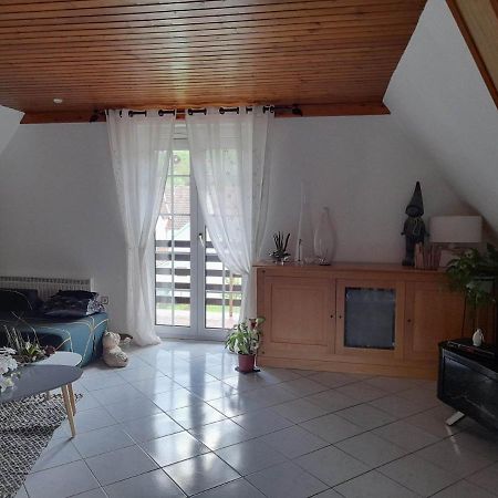 Gite Le Jardin De Hermolsheim. Alsace Tres Spacieux 米齐格 外观 照片