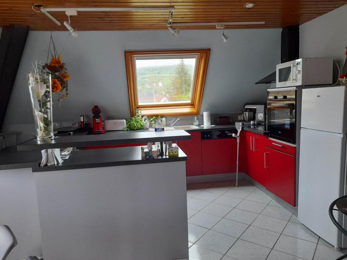 Gite Le Jardin De Hermolsheim. Alsace Tres Spacieux 米齐格 外观 照片
