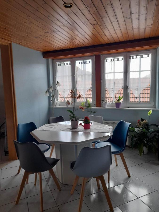 Gite Le Jardin De Hermolsheim. Alsace Tres Spacieux 米齐格 外观 照片
