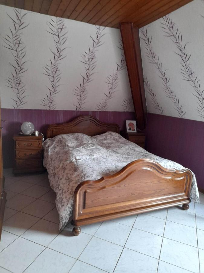 Gite Le Jardin De Hermolsheim. Alsace Tres Spacieux 米齐格 外观 照片