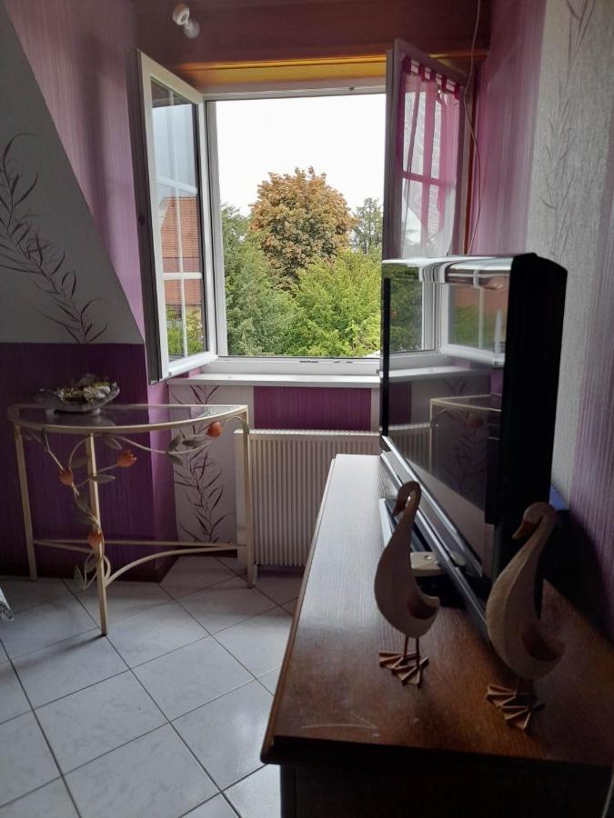 Gite Le Jardin De Hermolsheim. Alsace Tres Spacieux 米齐格 外观 照片
