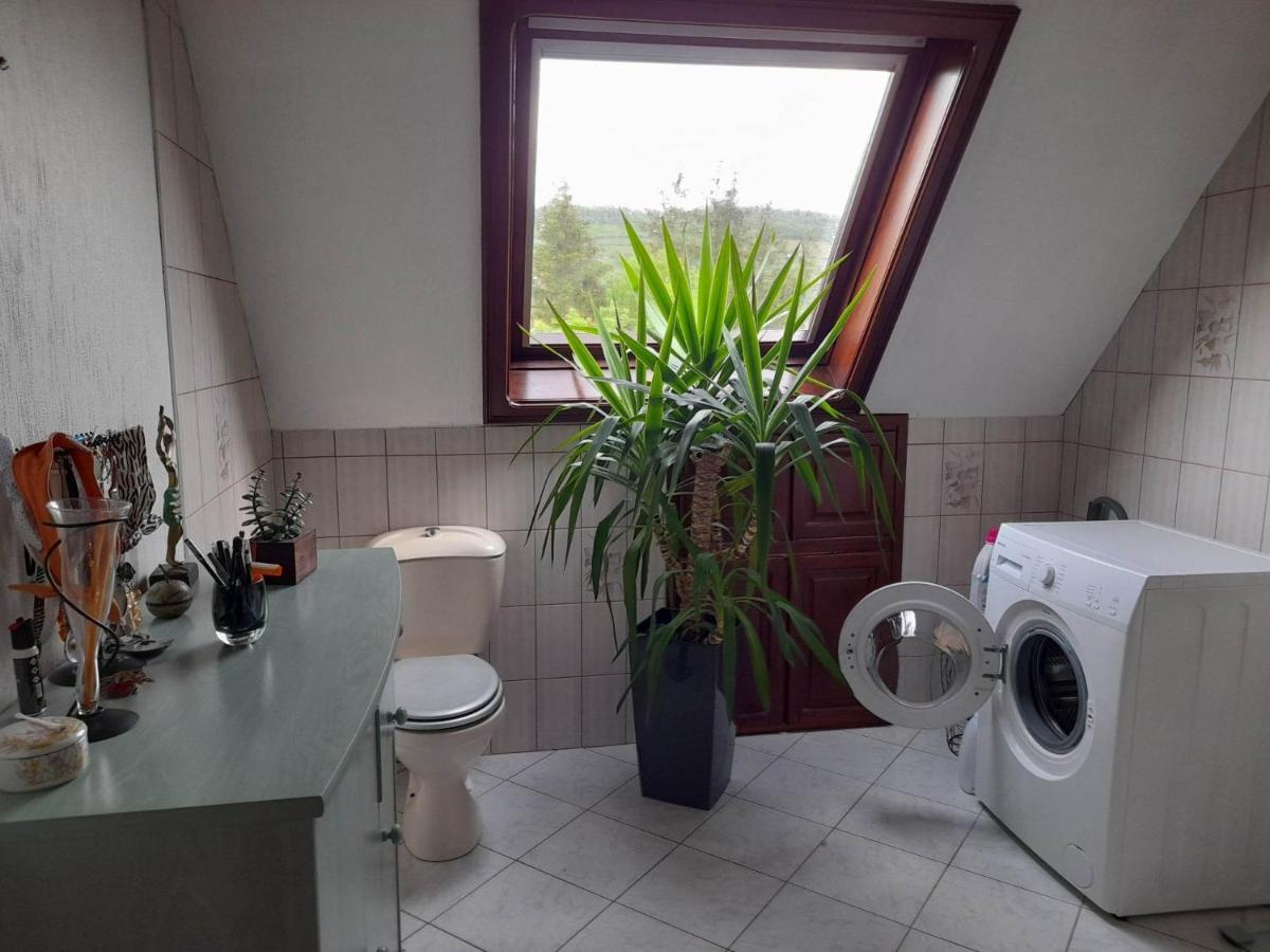 Gite Le Jardin De Hermolsheim. Alsace Tres Spacieux 米齐格 外观 照片