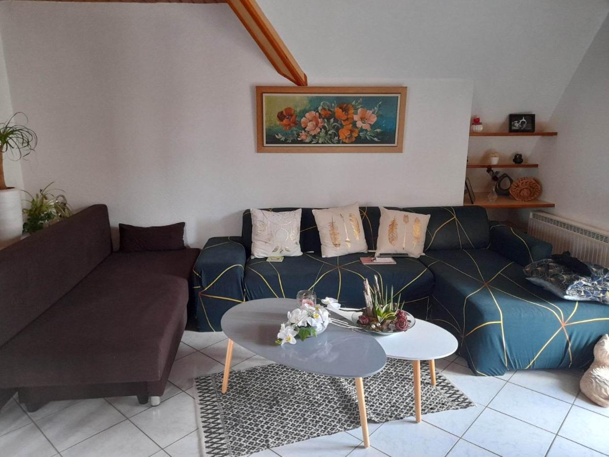 Gite Le Jardin De Hermolsheim. Alsace Tres Spacieux 米齐格 外观 照片