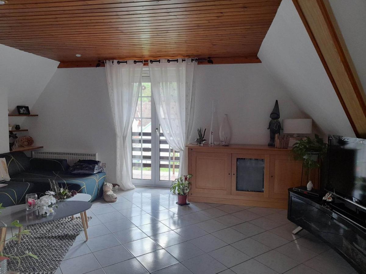 Gite Le Jardin De Hermolsheim. Alsace Tres Spacieux 米齐格 外观 照片